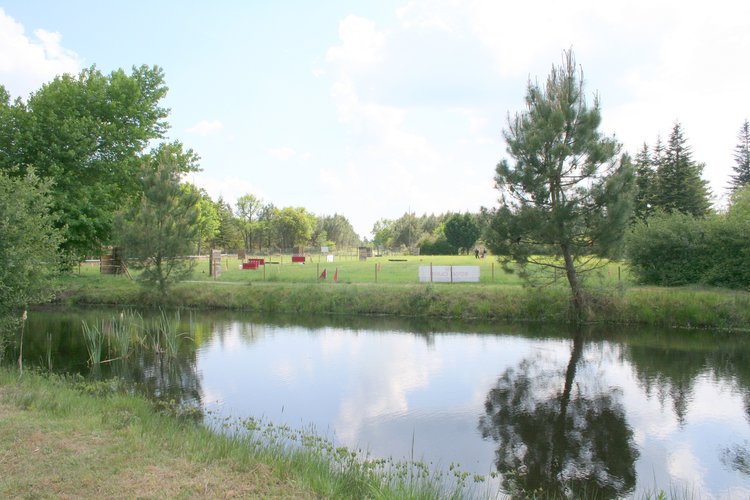 pension canine saint savin