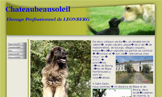 pension canine saint savin