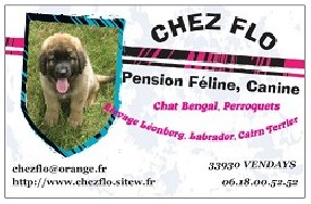 pension canine saint savin