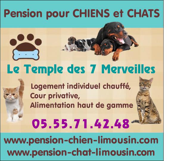 pension chat 42