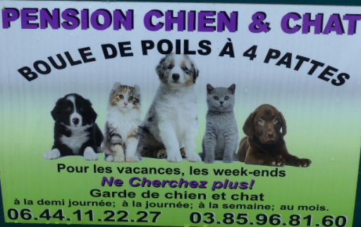 pension chat chalon sur saone