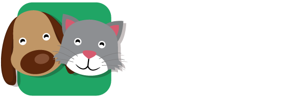 pension chat chalon sur saone