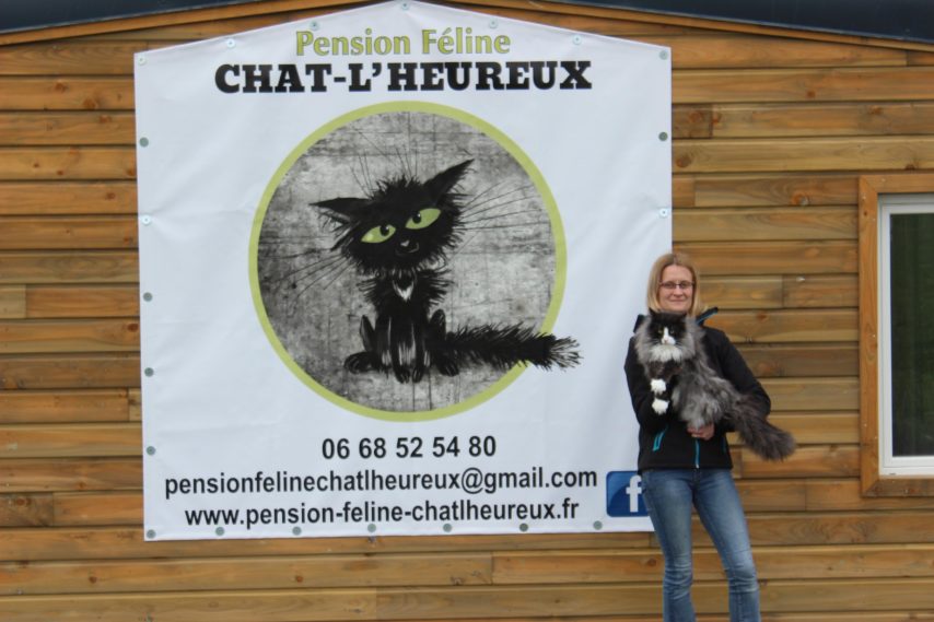 pension chat dieppe