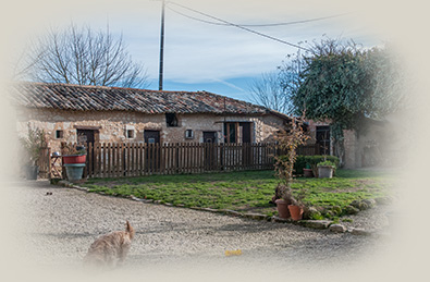 pension chat jonzac