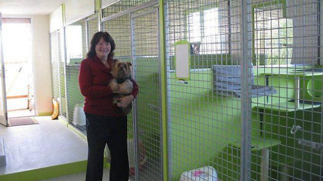 pension chat lorient