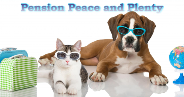 pension chat noisy le grand
