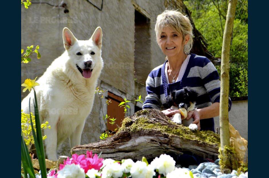 pension chat oyonnax