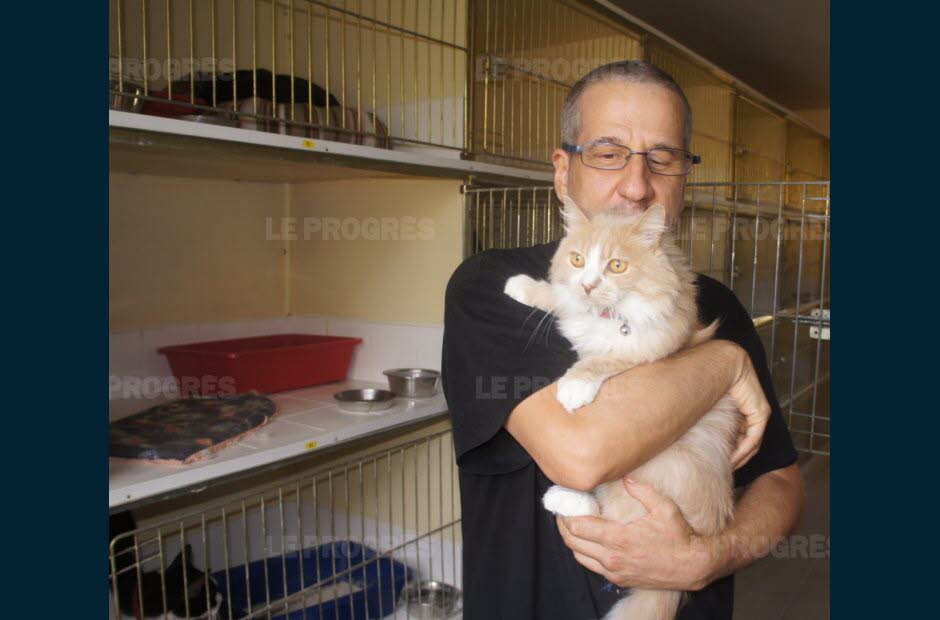 pension chat oyonnax