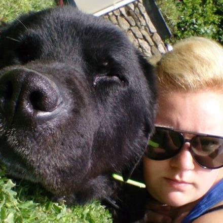 pension chat quiberon