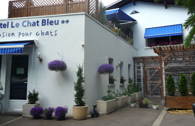 pension chat strasbourg