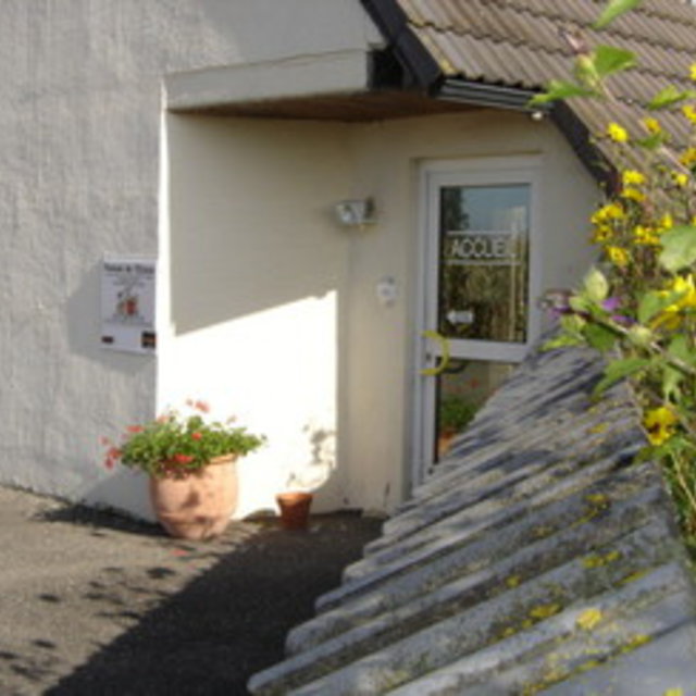 pension chat strasbourg