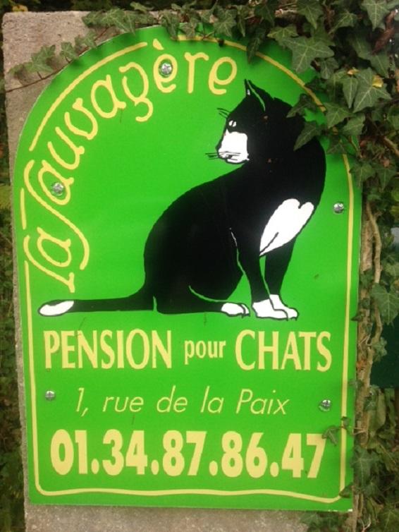 pension chat yvelines