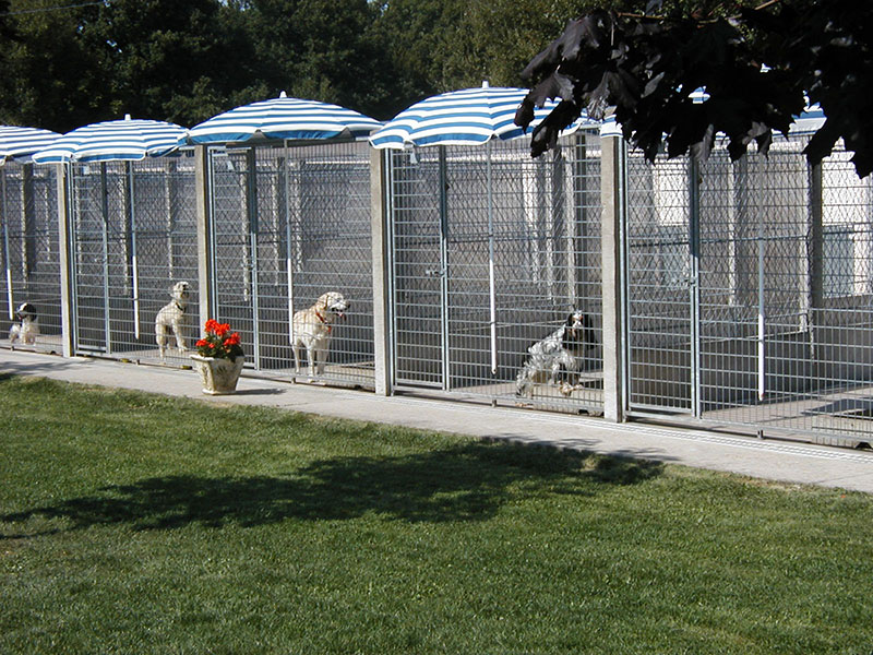 pension chat yvelines