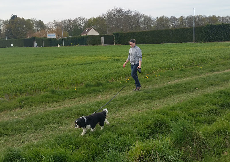 pension chat yvelines