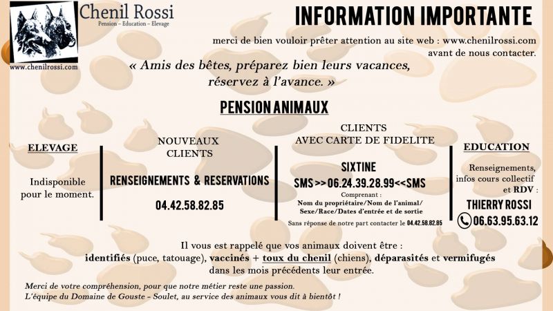 pension chien 28