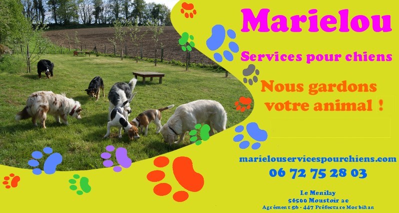 pension chien 28