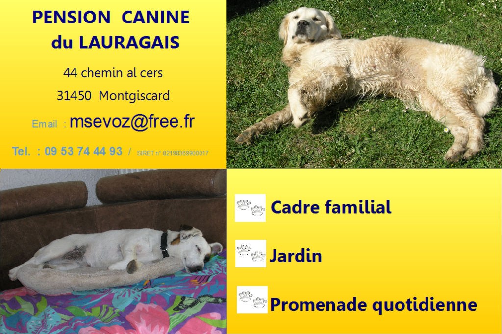 pension chien 31450