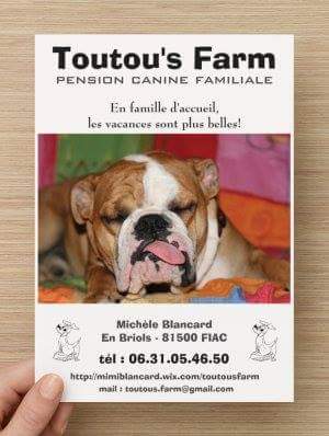 pension chien 31450