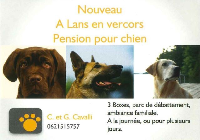 pension chien 36