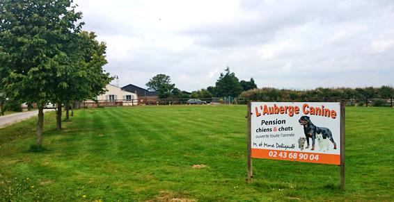 pension chien 37