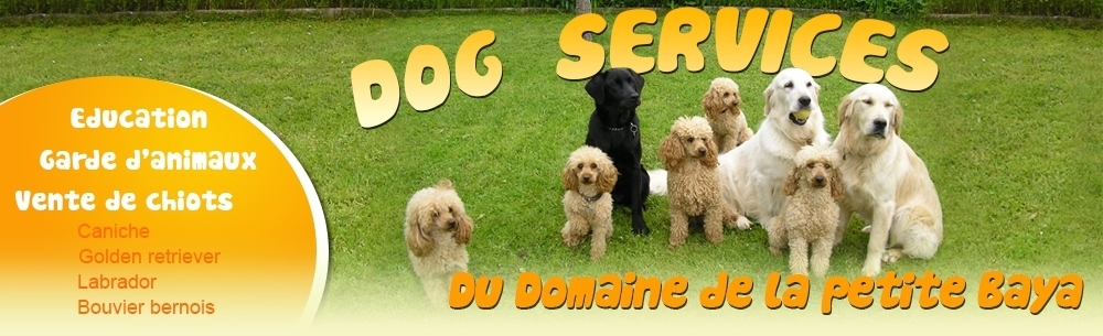 pension chien 39