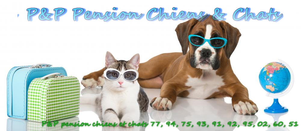 pension chien 51