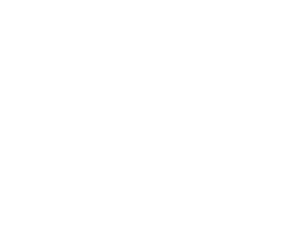 pension chien 76000