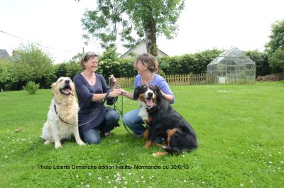 pension chien 76000