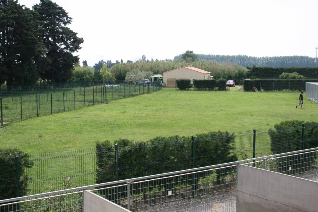 pension chien avignon