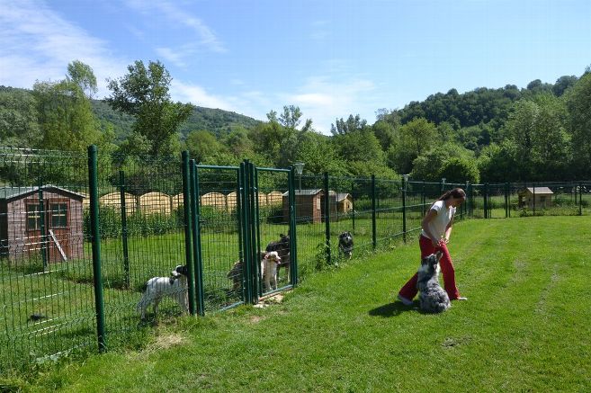 pension chien beauval
