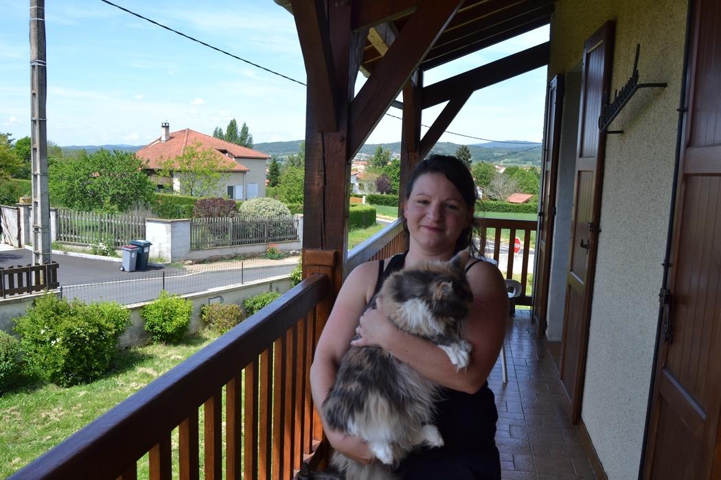 pension chien beauval