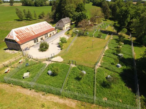 pension chien brive