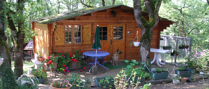 pension chien brive