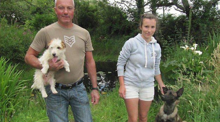 pension chien fougeres