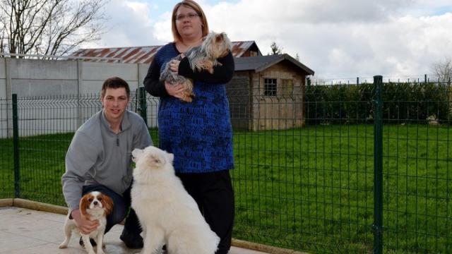 pension chien fougeres