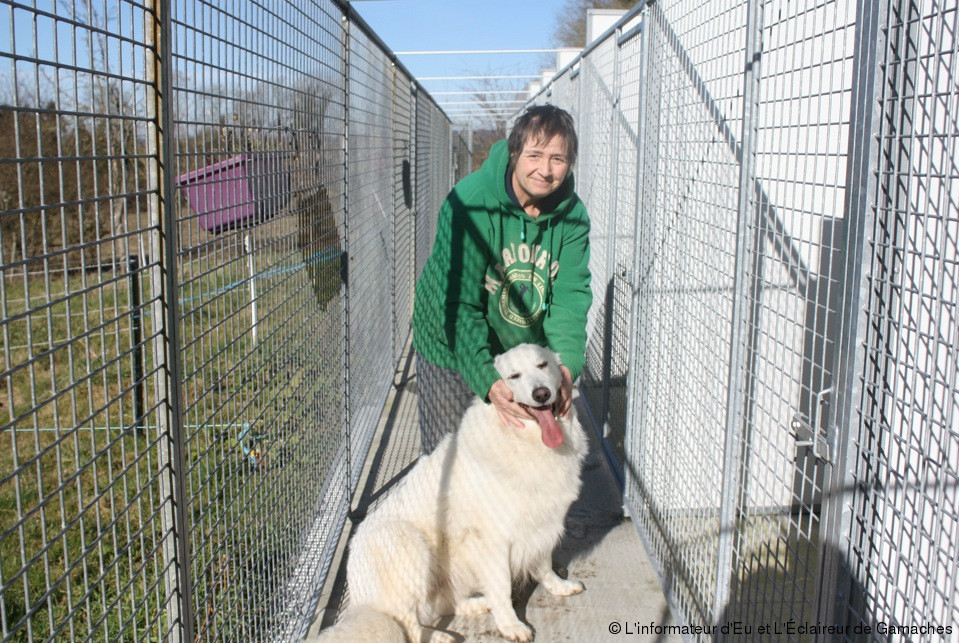 pension chien fougeres