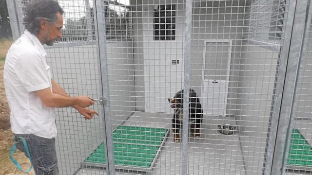pension chien fougeres