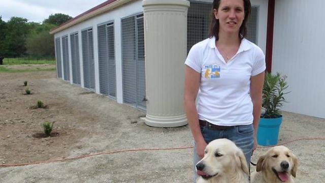 pension chien fougeres