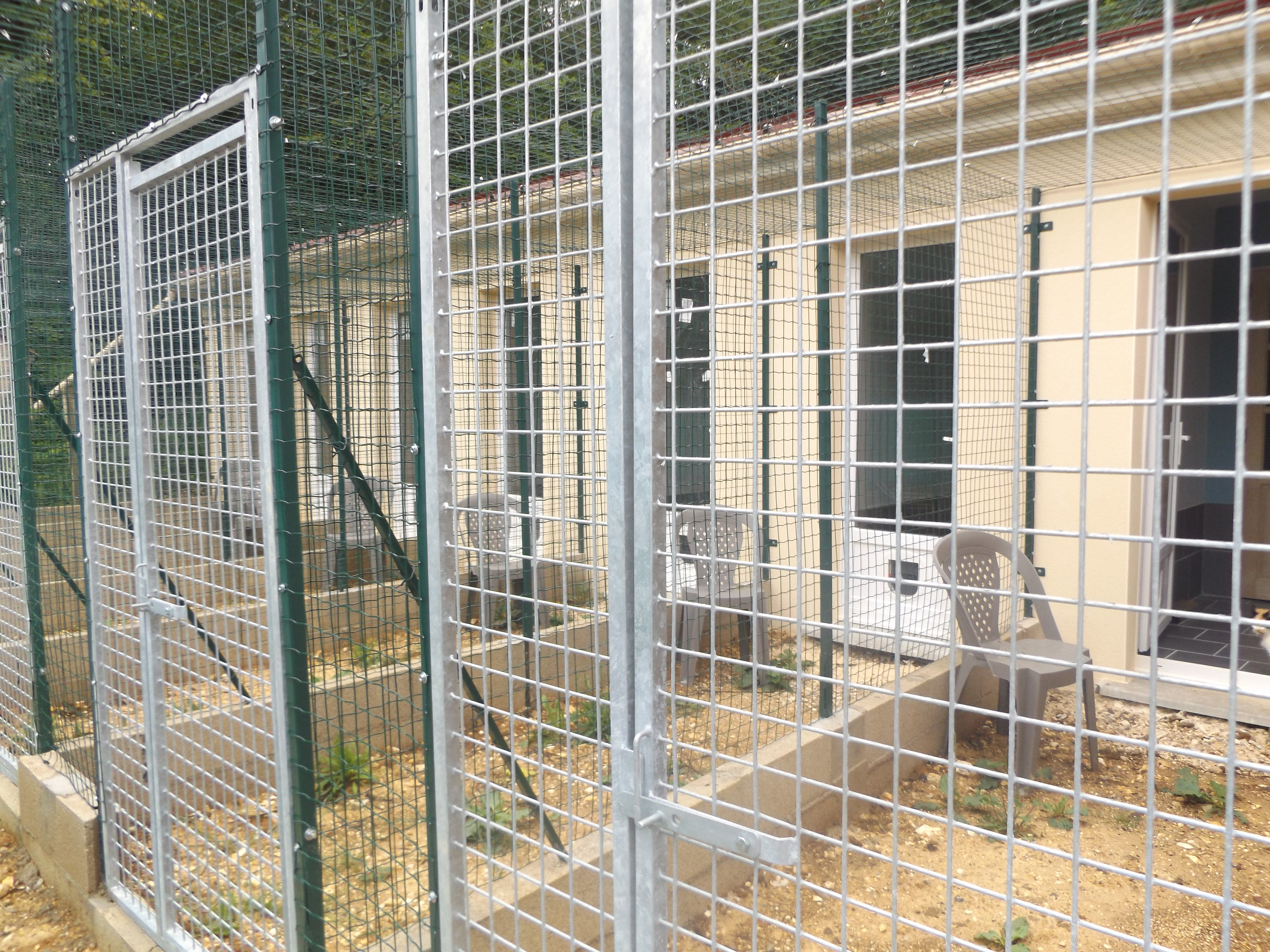 pension chien loiret