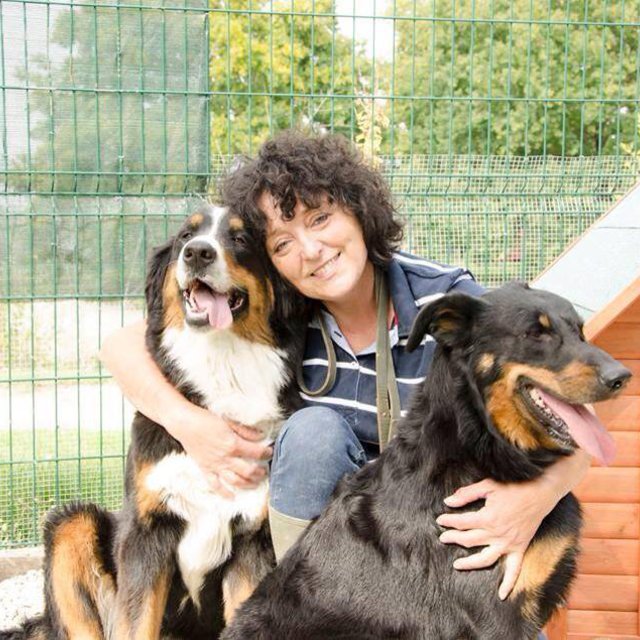 pension chien marne la vallee