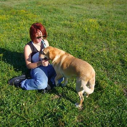 pension chien martigues