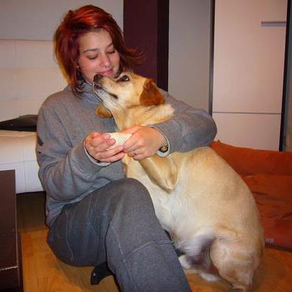 pension chien martigues