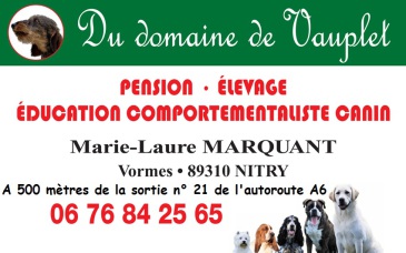 pension chien nitry
