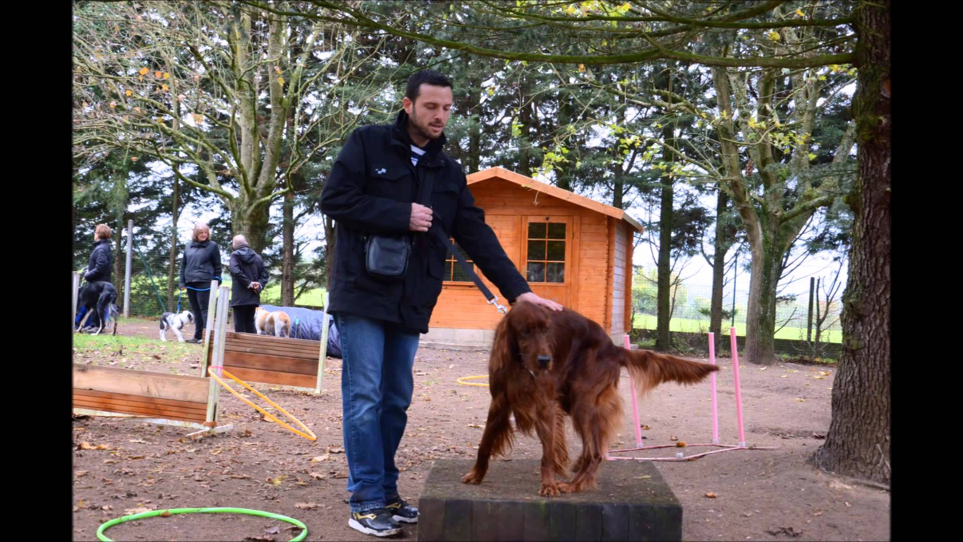 pension chien oinville sur montcient