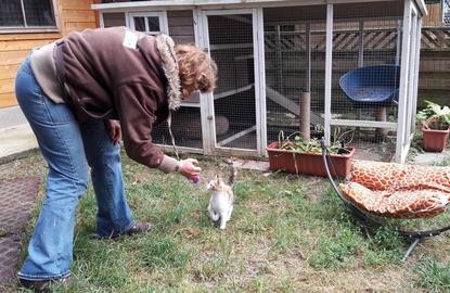 pension chien oinville sur montcient