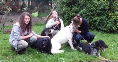 pension chien oinville sur montcient