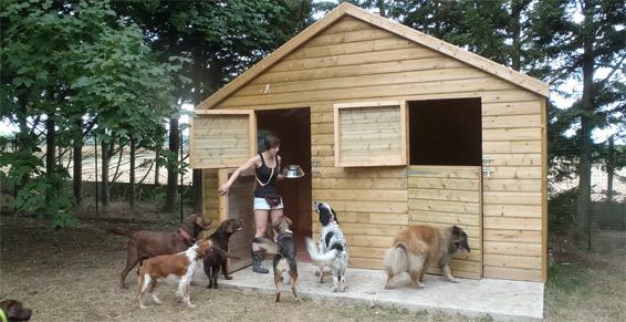 pension chien oinville sur montcient