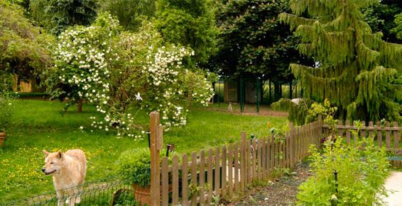 pension chien oinville sur montcient