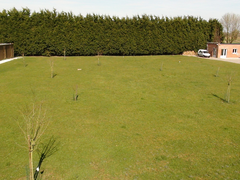 pension chien quesnoy sur deule
