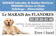 pension chien quesnoy sur deule